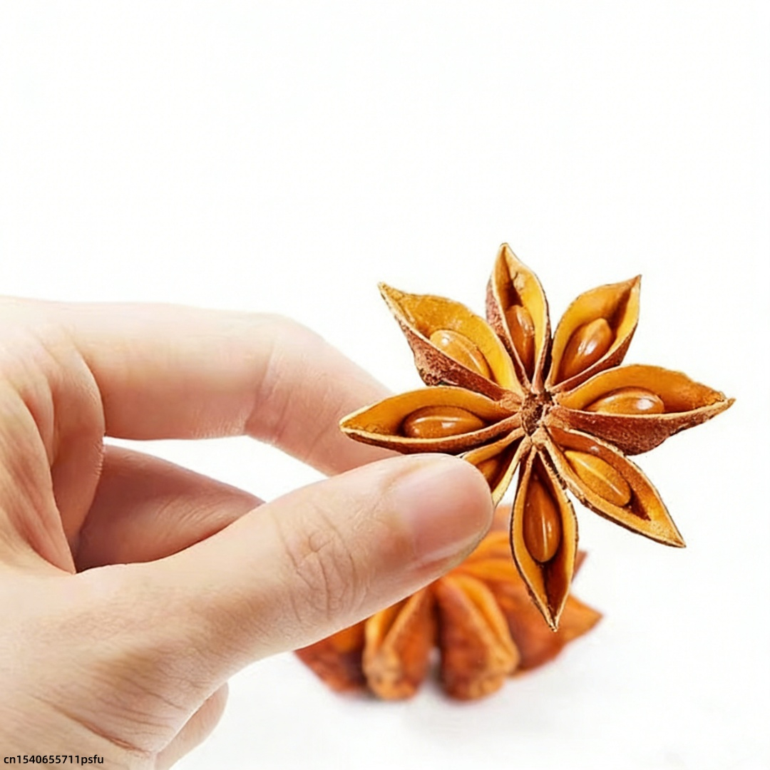 Home Fragrance Homemade - Anis Estrelado Premium Seco: Tempero Culinário,