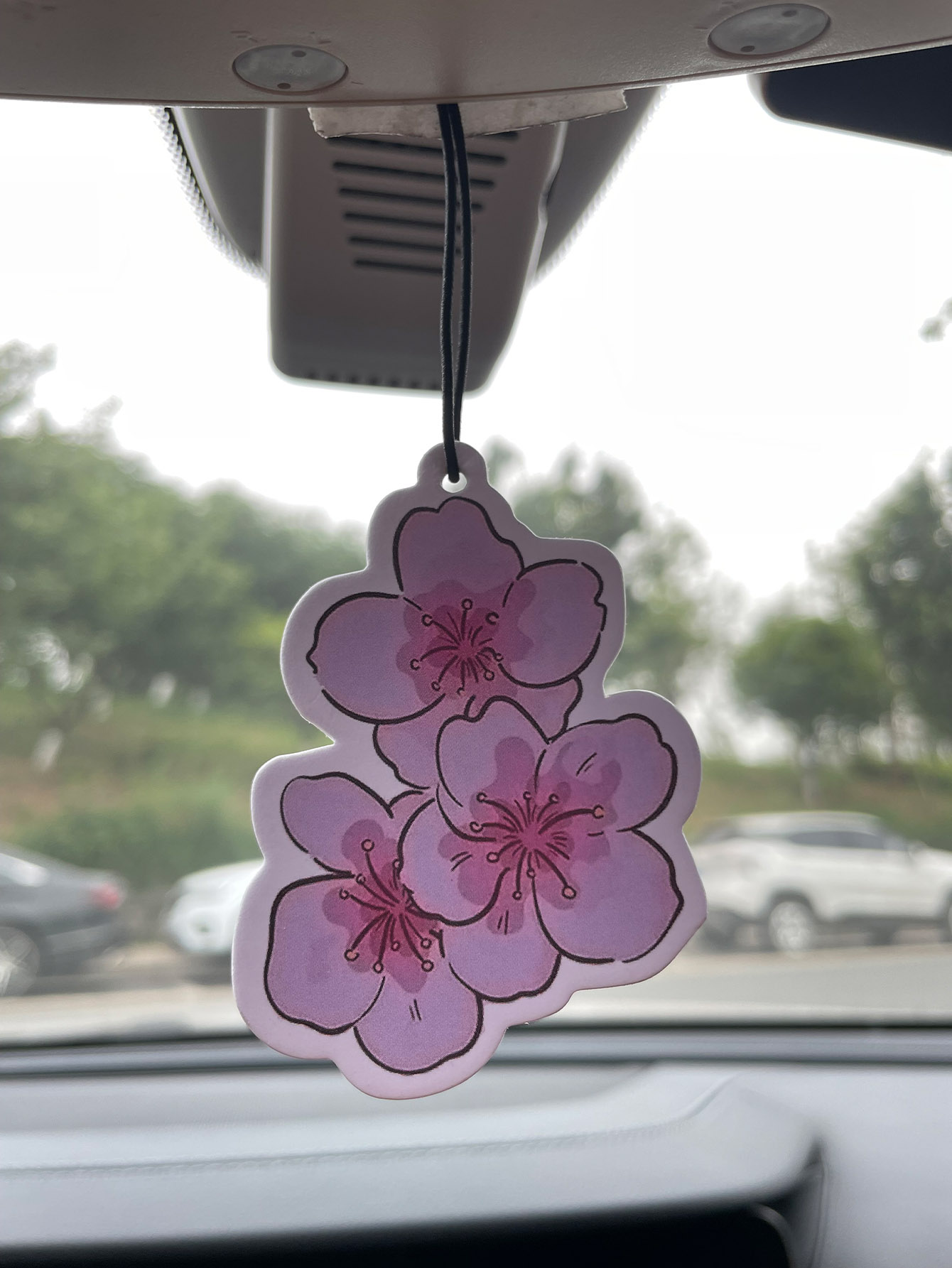 Home Fragrance Non Toxic - Perfume de Carro Neutro com Fragrância