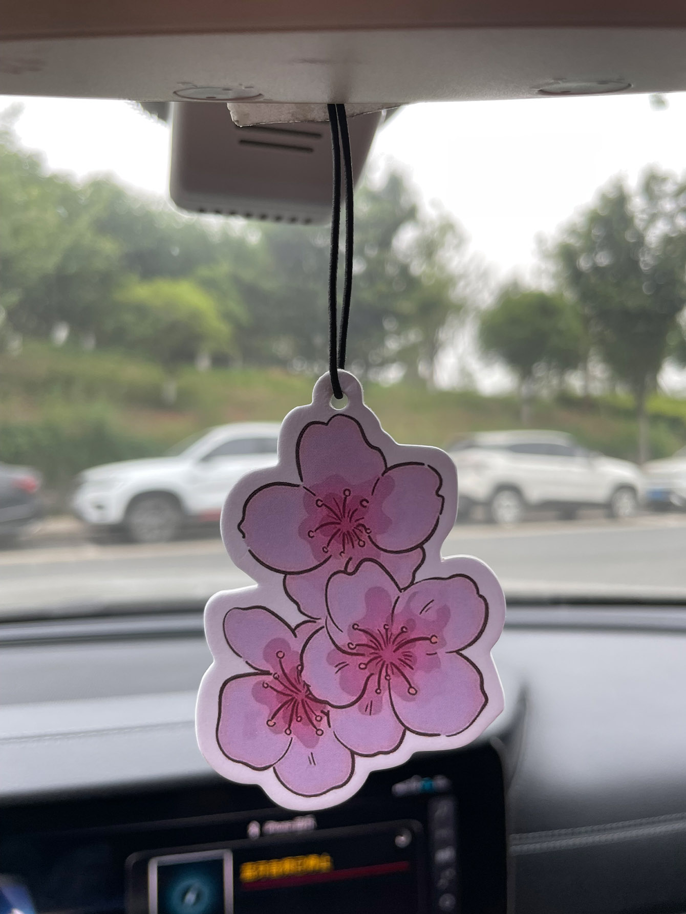 Perfume de Carro Neutro com Fr - Home Fragrance Non Toxic avaliação e preço